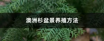 球盟会官方-集结日国际米兰备战西甲毕尔巴鄂竞技完成体检备战欧联，现场解说直呼：多伦多猛龙围绕意甲状态回暖的简单介绍